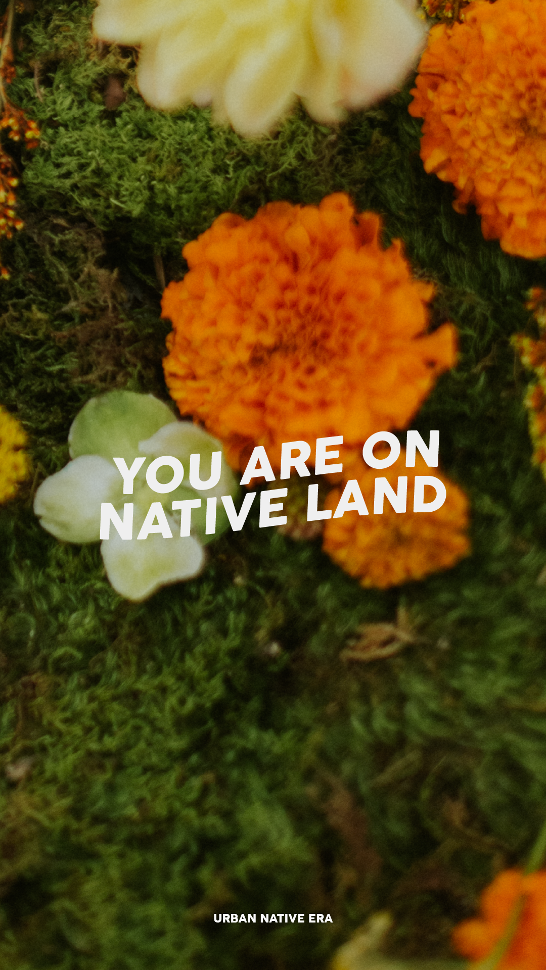 'You Are On Native Land' Phone Wallpaper