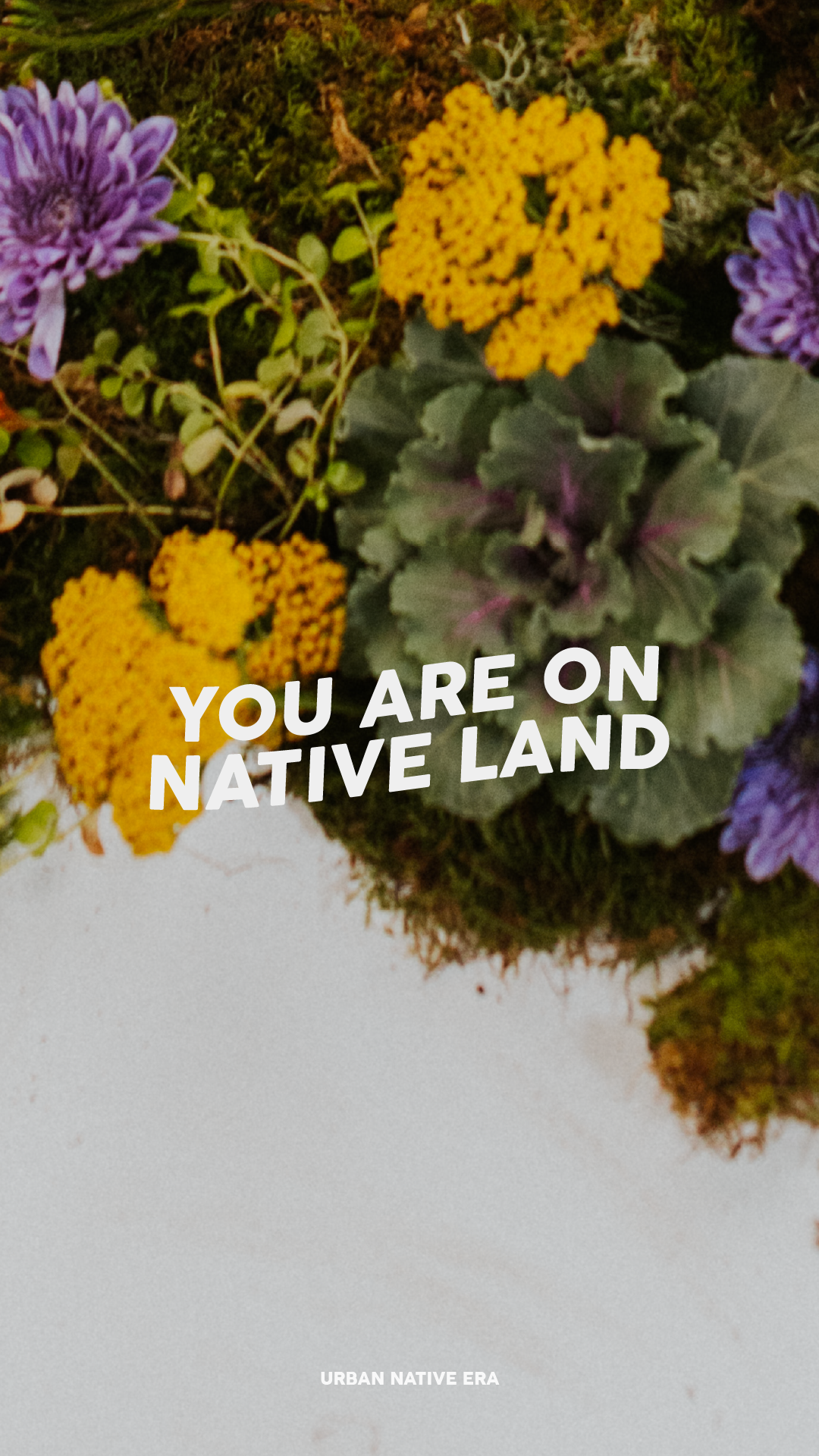 'You Are On Native Land' Phone Wallpaper