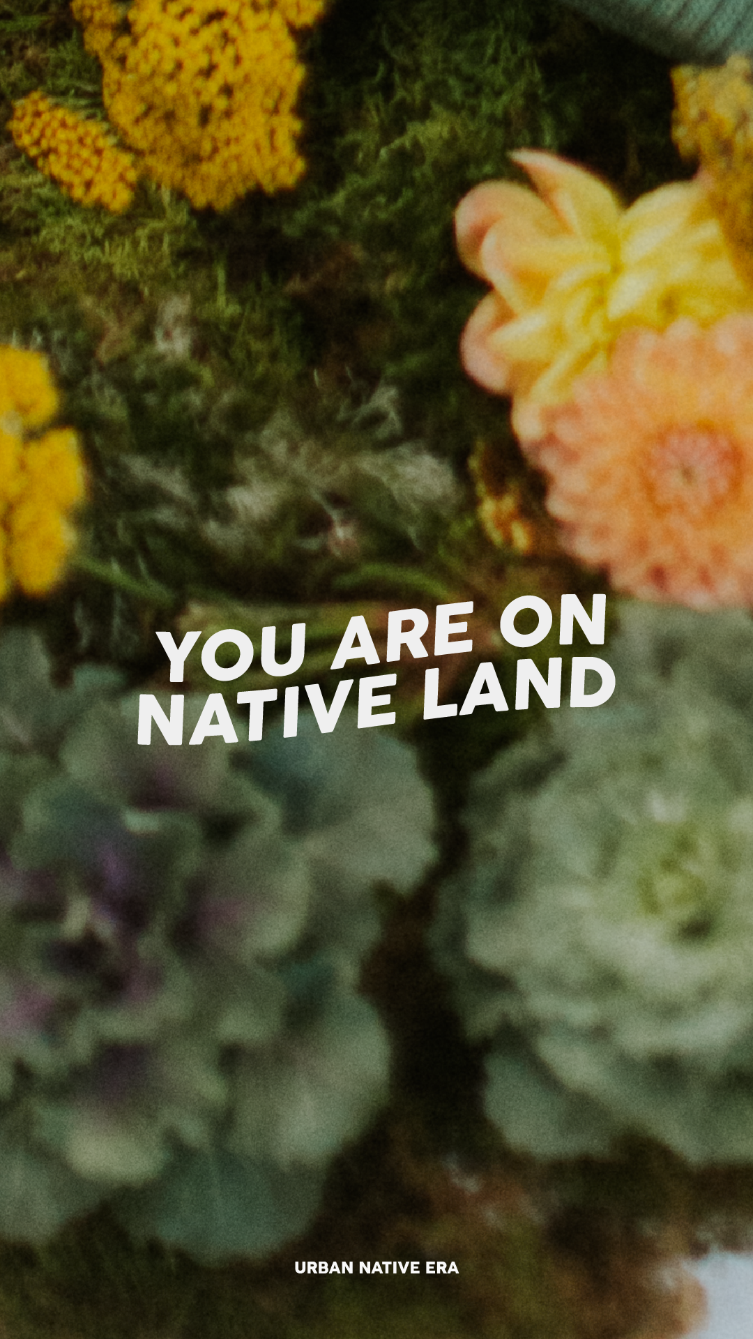 'You Are On Native Land' Phone Wallpaper