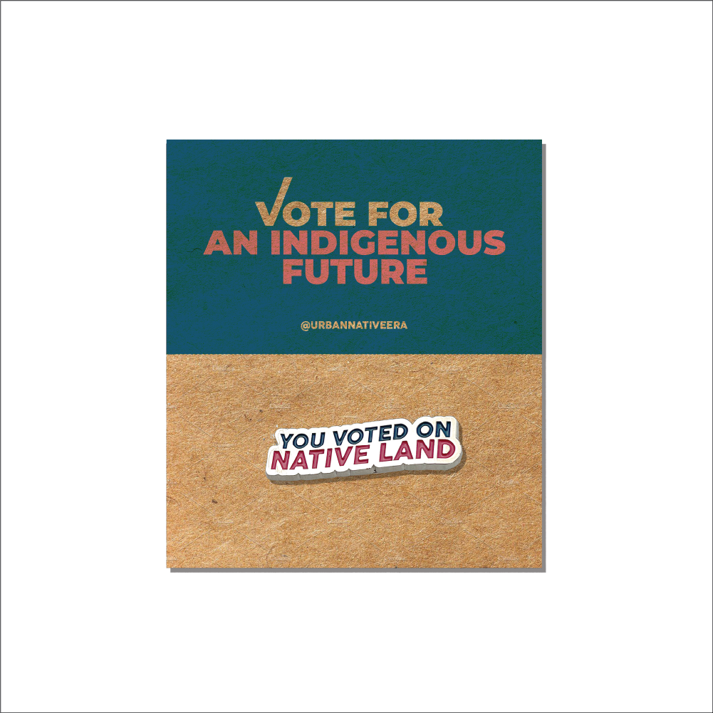 'YOU VOTED ON NATIVE LAND' PIN