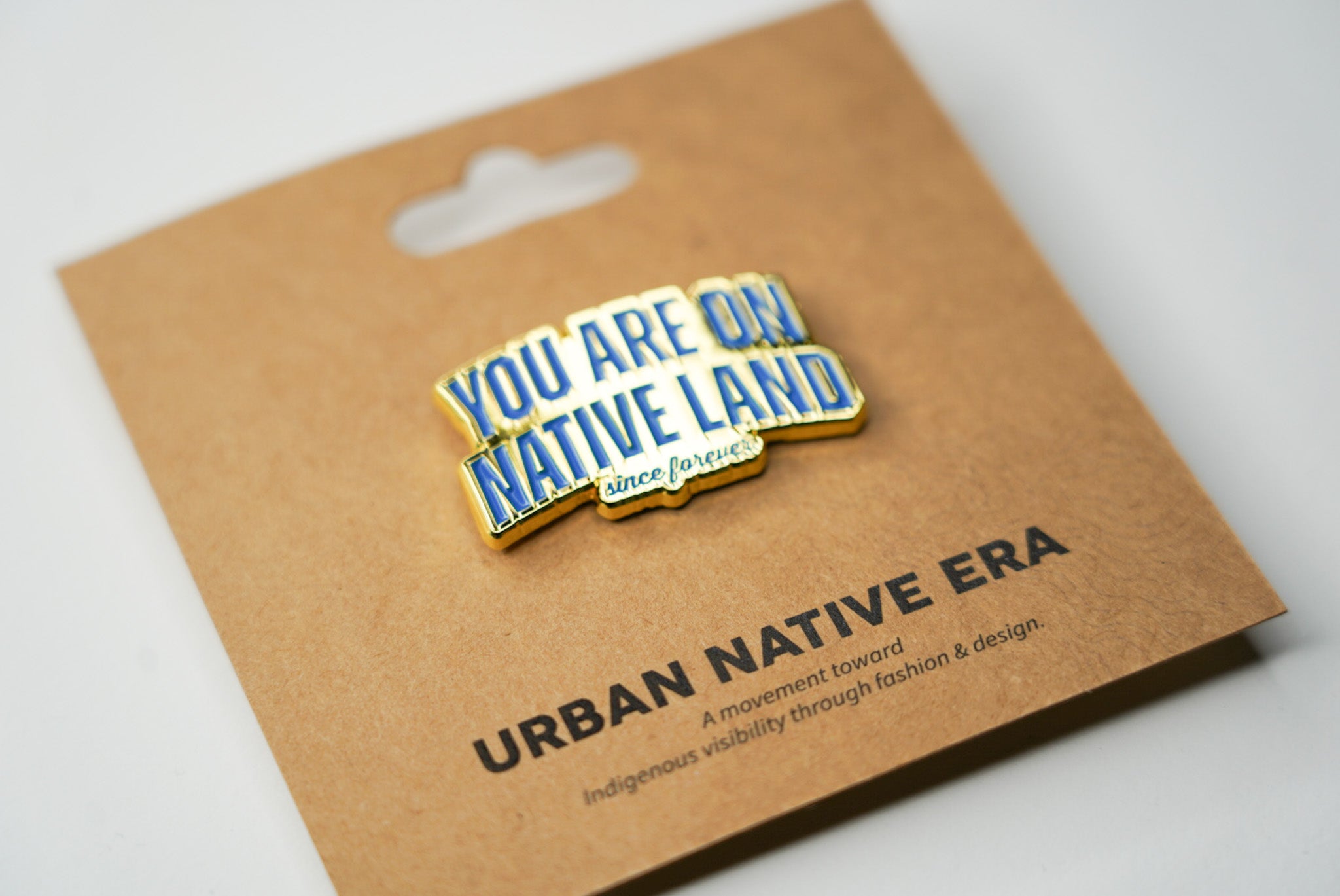 YOU ARE ON NATIVE LAND SINCE FOREVER PIN - BLUE & GOLD