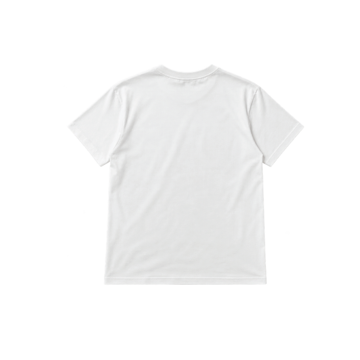 Indigenous Visibility Through Fashion Tee