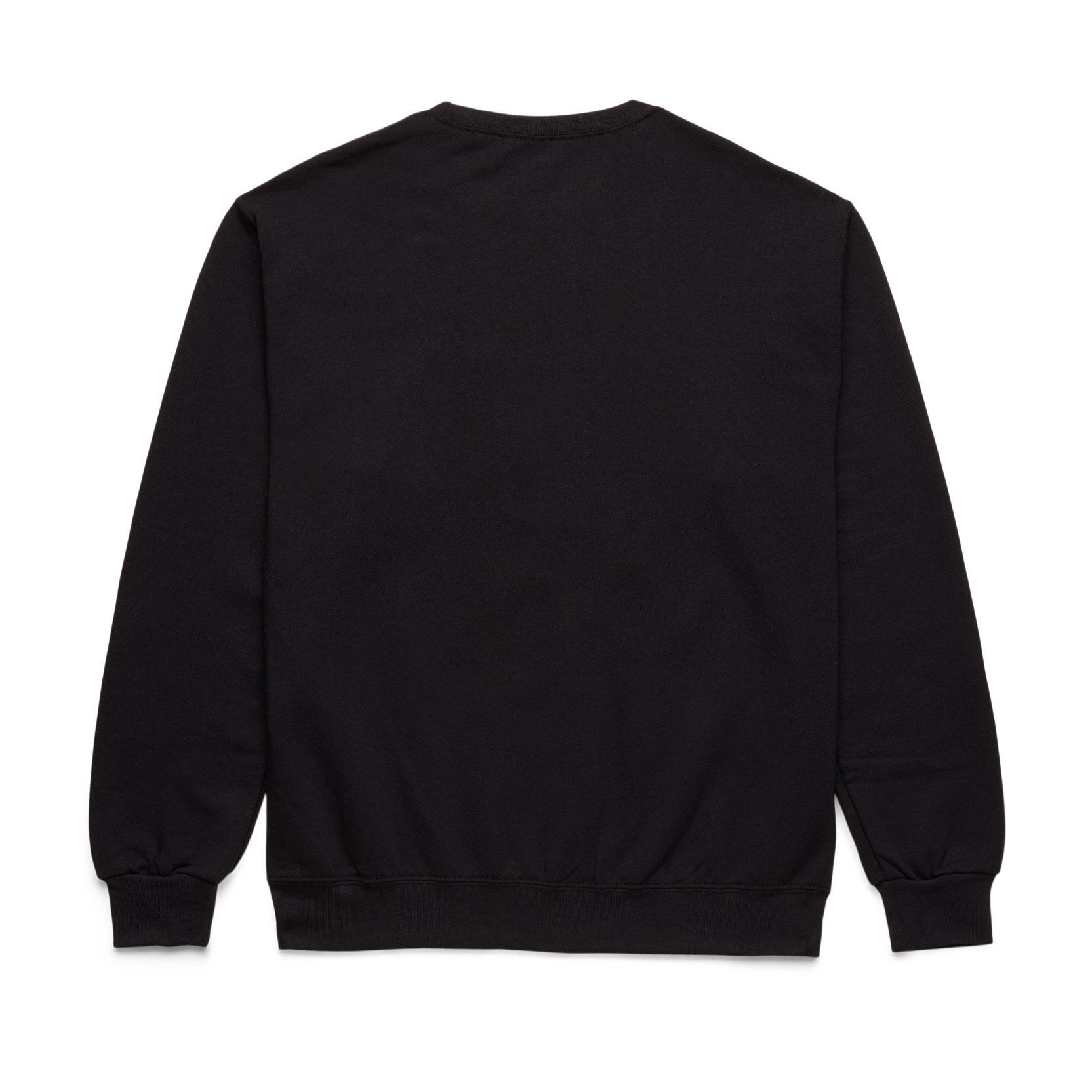 HUMMINGBIRD OUTLINE CREWNECK - BLACK