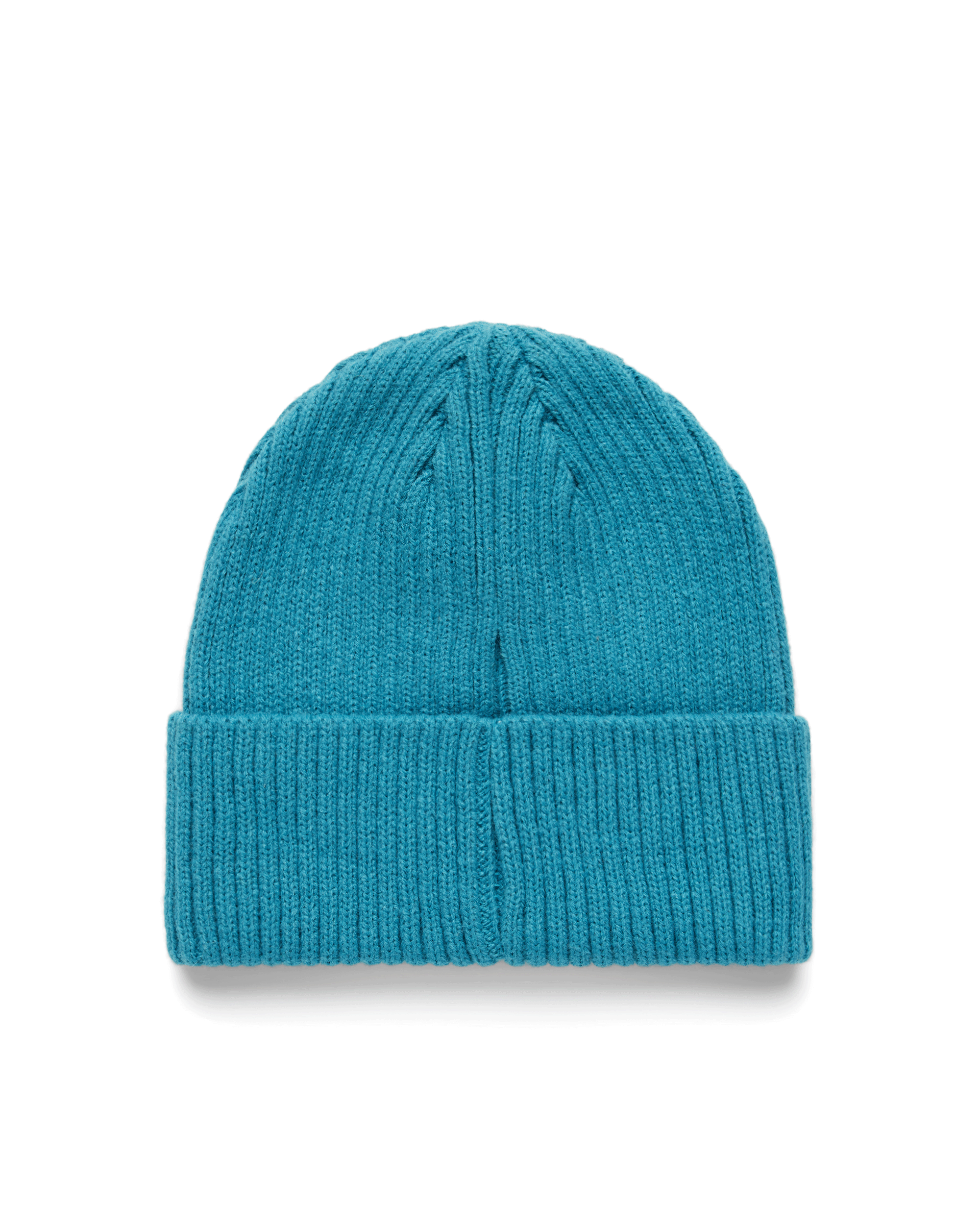 RIBBED BEANIE - HUMMINGBIRD PATCH