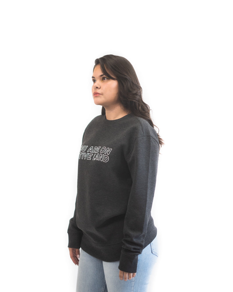 ‘YOU ARE ON NATIVE LAND’ PREMIUM CREWNECK - STONE