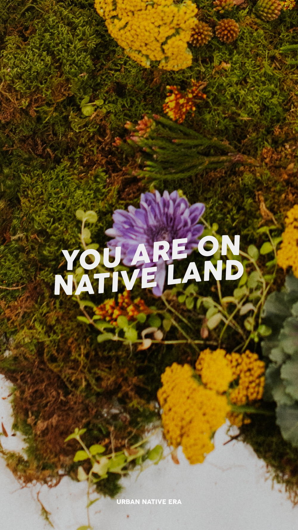 'You Are On Native Land' Phone Wallpaper