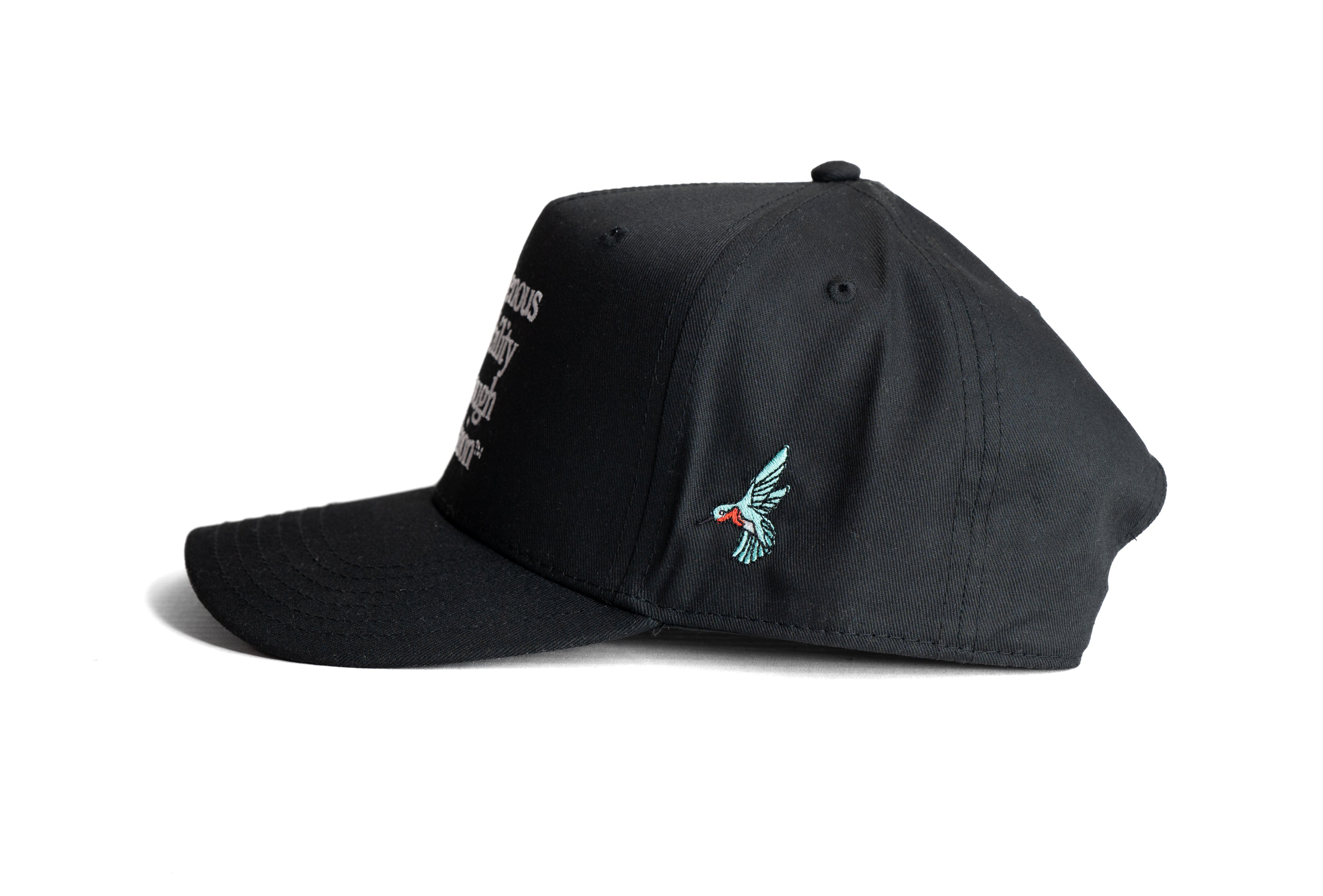 INDIGENOUS VISIBILITY THROUGH FASHION MID PROFILE CAP — BLACK