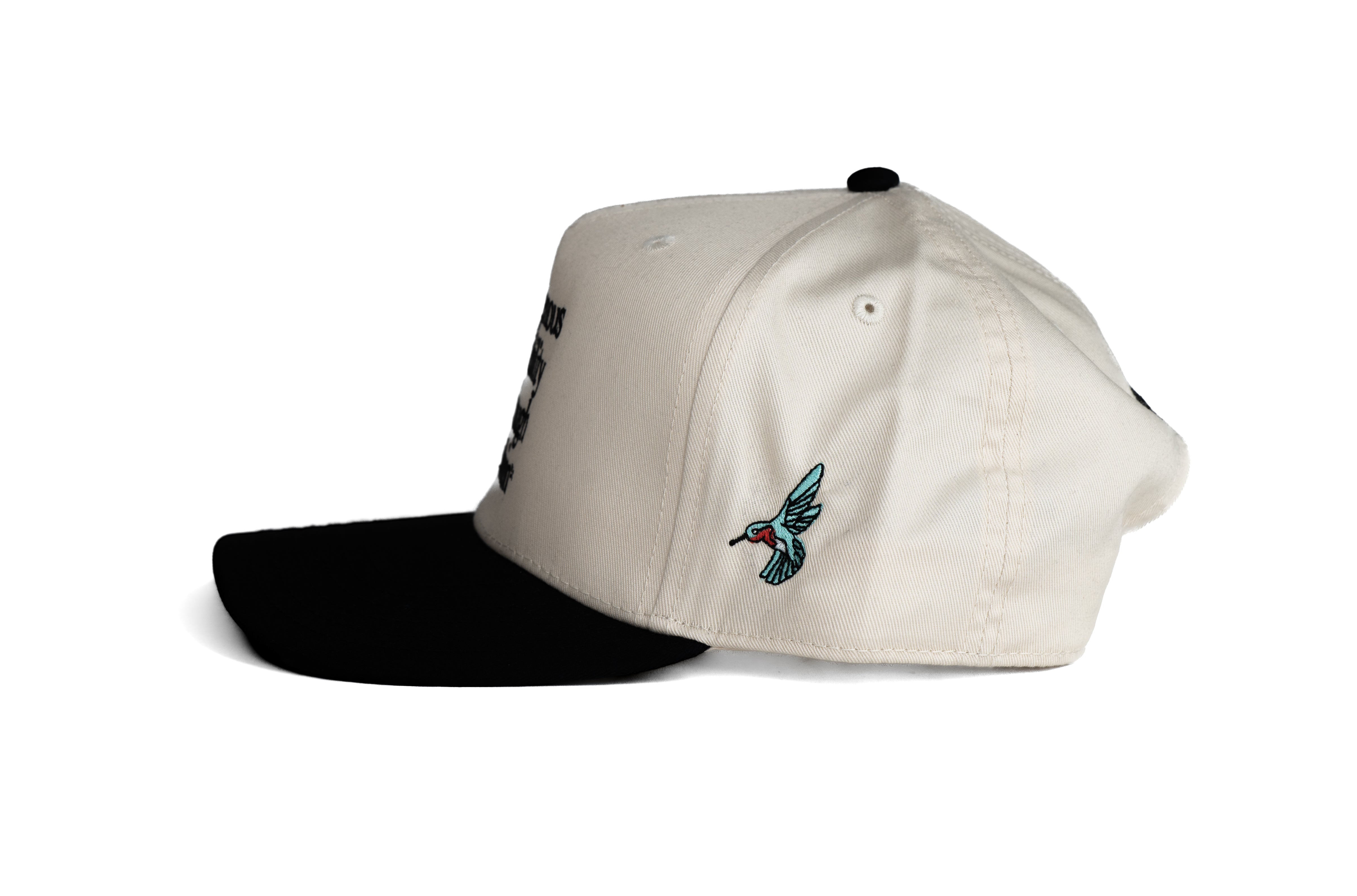 INDIGENOUS VISIBILITY THROUGH FASHION MID PROFILE CAP — BLACK & NATURAL