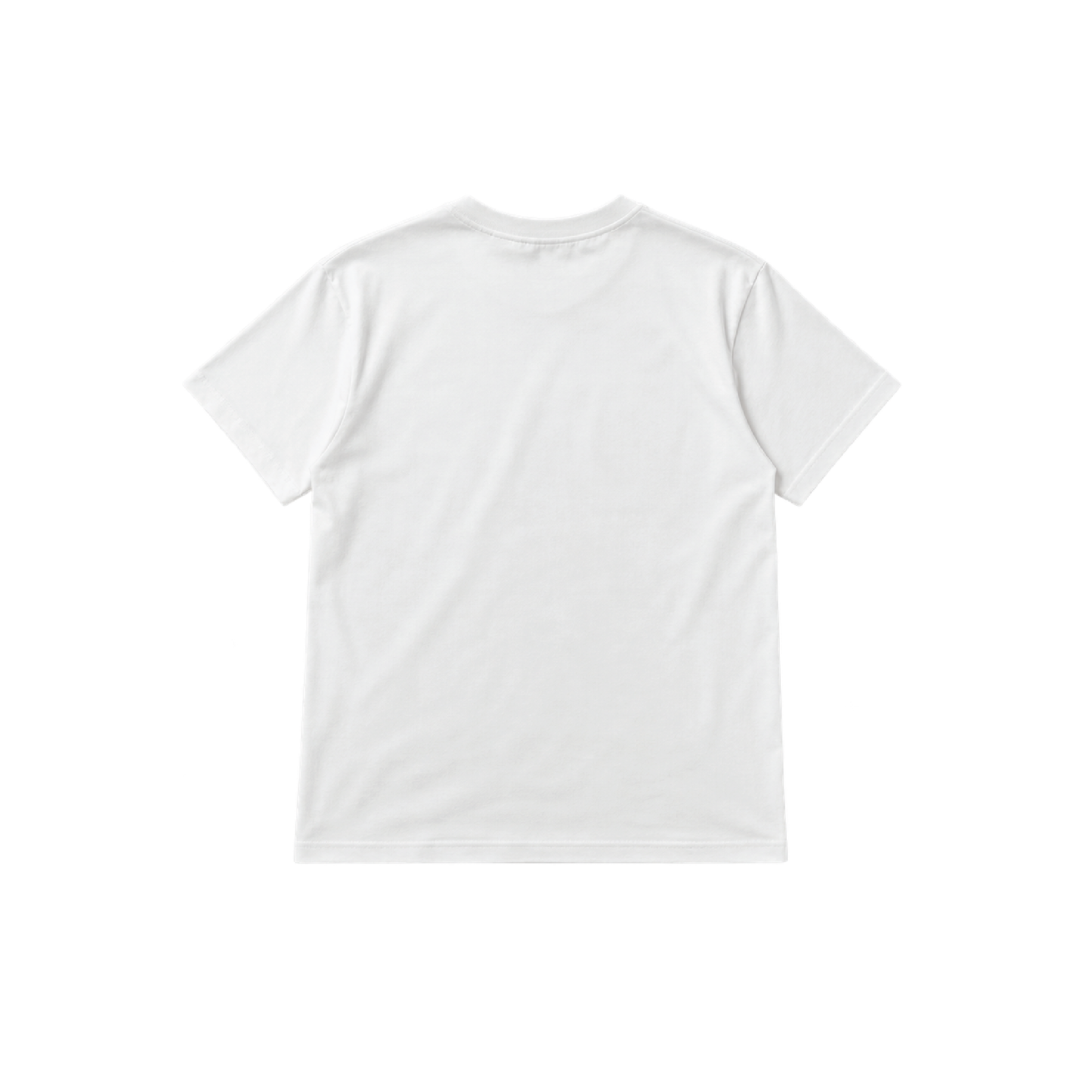 Indigenous Visibility Through Fashion Tee