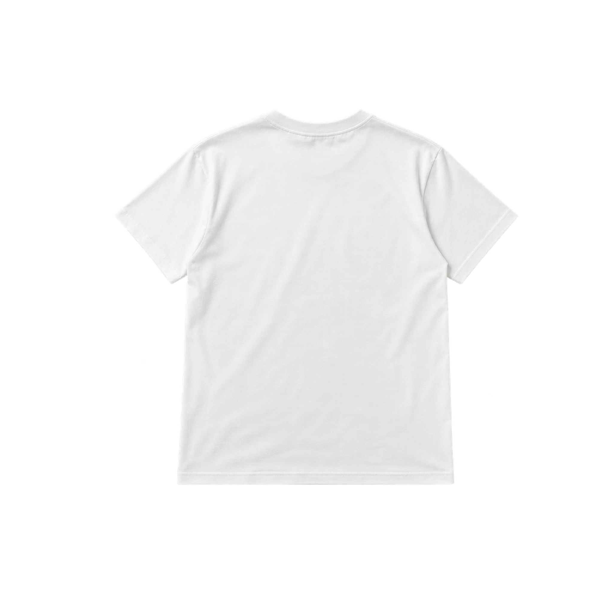 Indigenous Visibility Through Fashion Tee