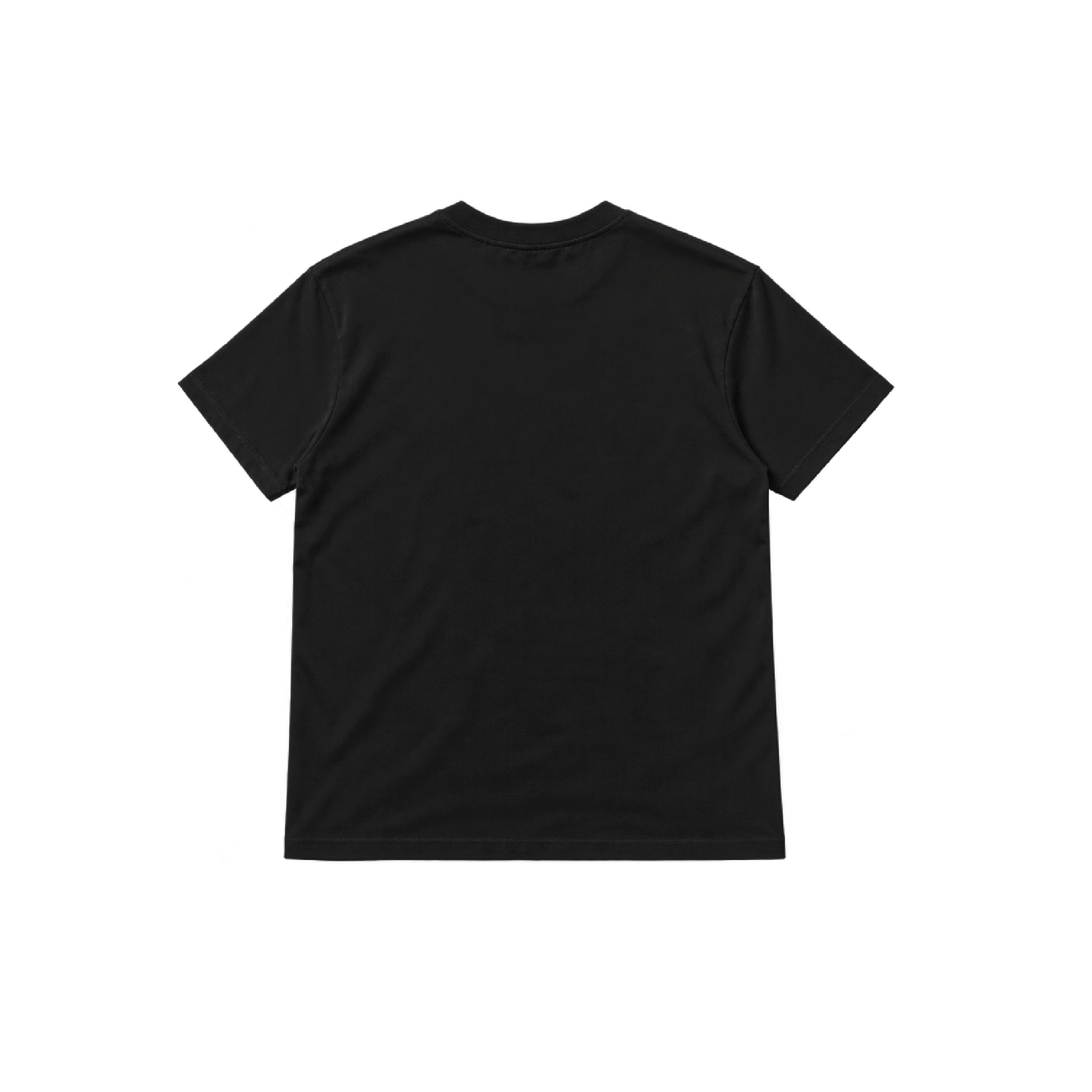 Indigenous Visibility Through Fashion Tee