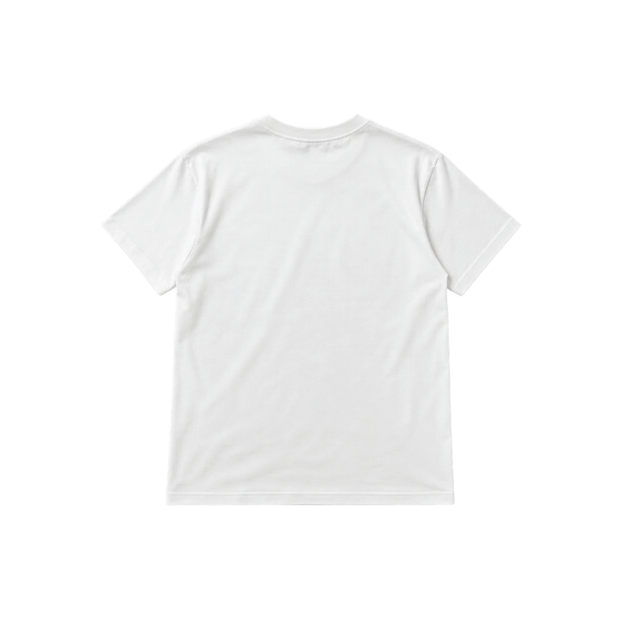 Indigenous Ways of Thinking Tee