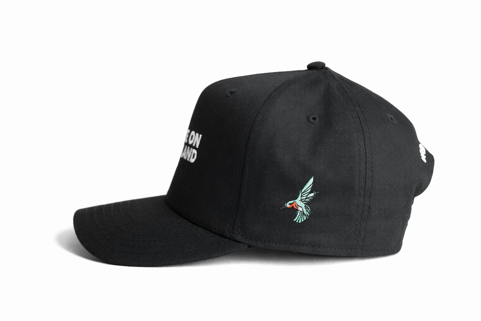 YOU ARE ON NATIVE LAND MID-PROFILE CAP  — BLACK