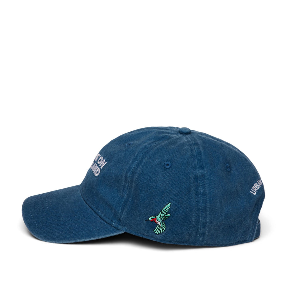 'YOU ARE ON NATIVE LAND' DAD CAP - BLUE