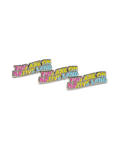 'YOU ARE ON NATIVE LAND' PRIDE PIN - PANSEXUAL FLAG
