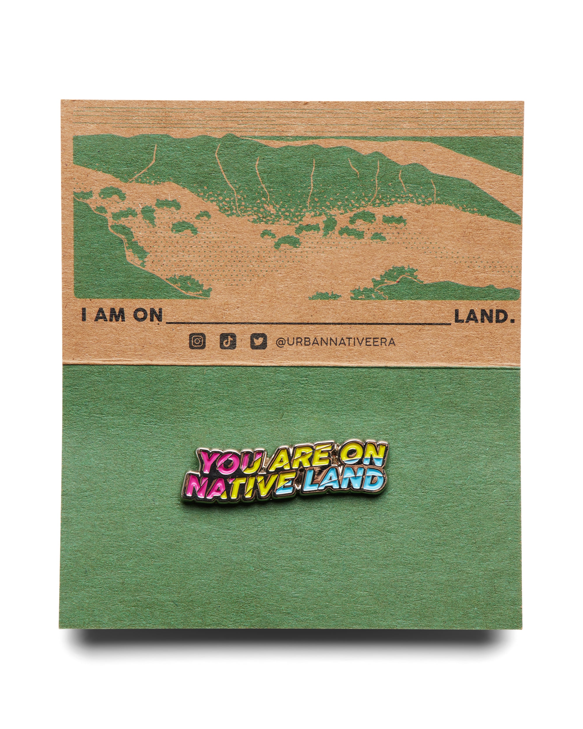 'YOU ARE ON NATIVE LAND' PRIDE PIN - PANSEXUAL FLAG